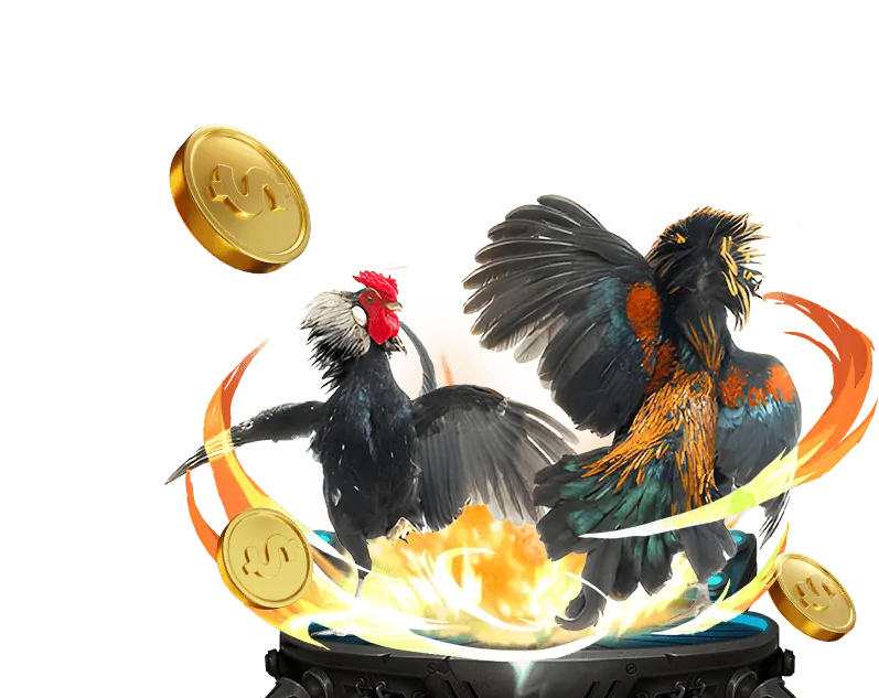 Hướng dẫn cá cược thể thao cho người mới bắt đầu